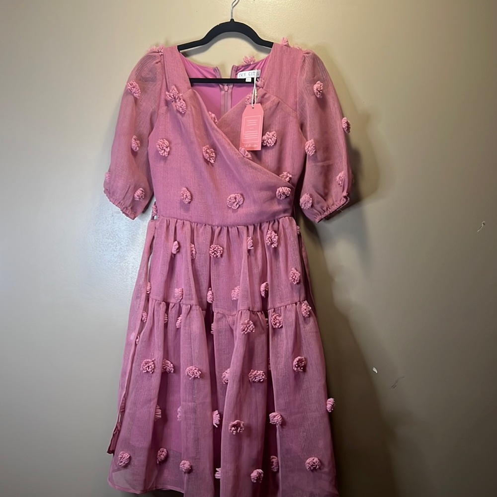 Ivy Ciry Pink Pom Dress